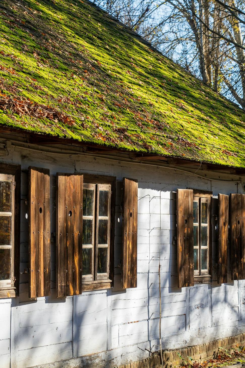 Sustainable Design